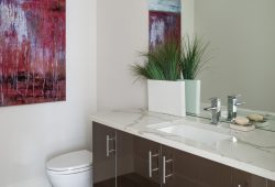 441 Arapahoe Ave, Powder Room, Boulder, CO Real Estate Investment